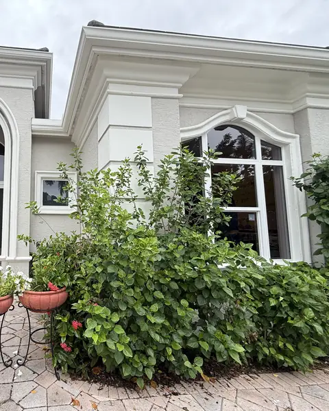 Fixed arched-top impact window behind garden shrubs next to the front entry of a white house in Palm Beach County